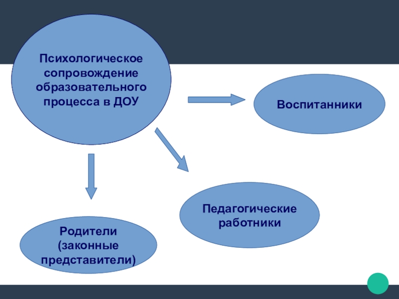 5369195d0d2cacb1559dcdf6bfae36bf 800x