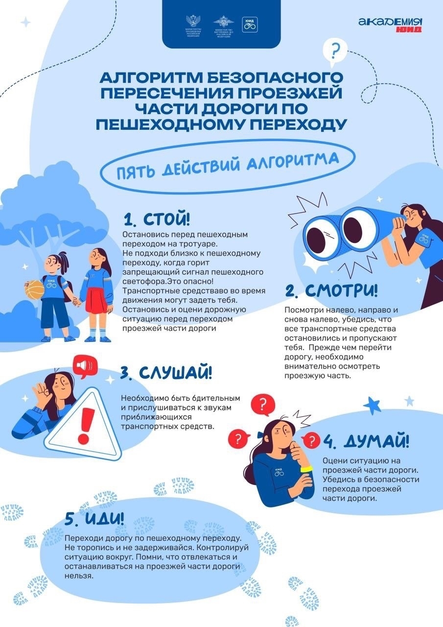 пять действий алгоритма